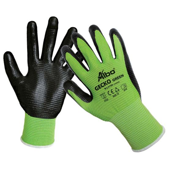 Albo Ruk.Gecko zelena 10