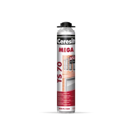 Henkel  TS70 PRO 870ml.